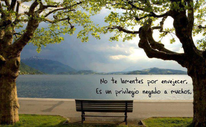 182108_3929158601031_46023193_n